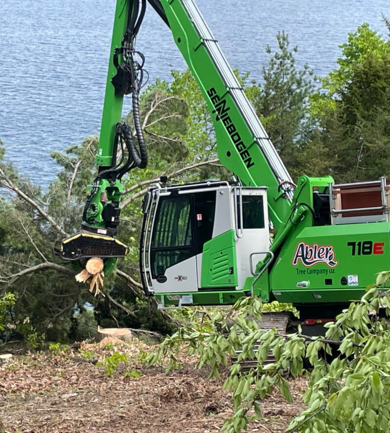 abler-tree-company-sennebogen-tree-removal