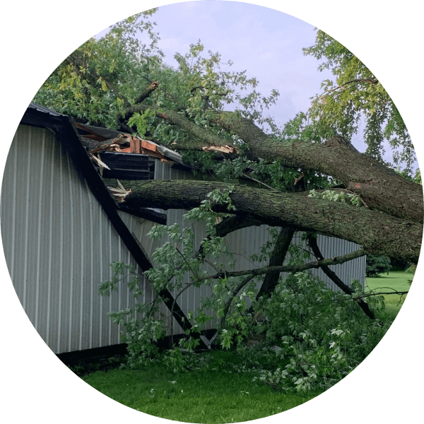 circle-emergency-tree-services-spiff-abler-tree-services-malone-wisconsin