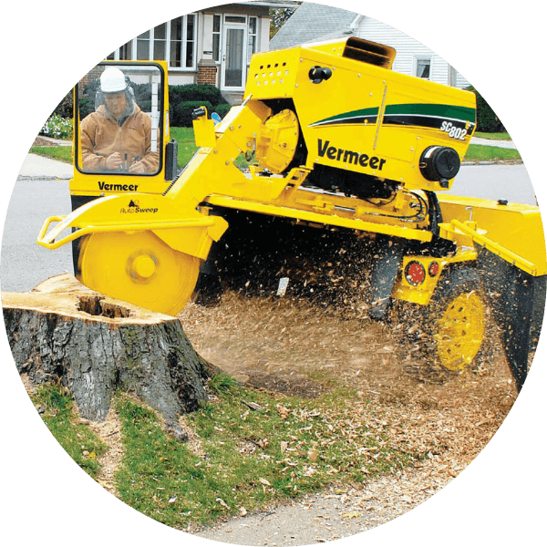 circle-stump-grinding-services-spiff-abler-tree-services-malone-wisconsin