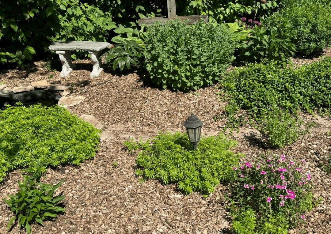 Wood Chips & Mulching Around Bushes