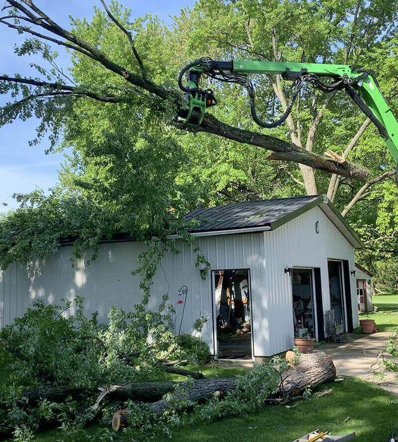 emergency-tree-service-storm-damage-abler-tree-company-wisconsin