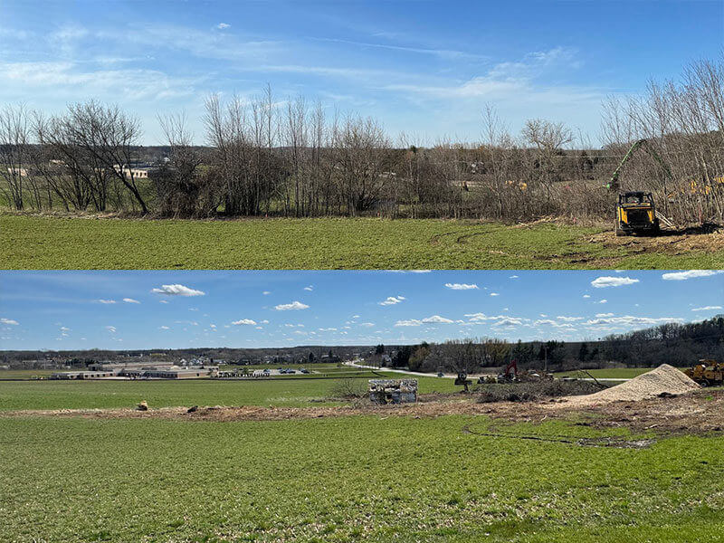 sennebogen-land-clearing-tree-line-Abler-before-after