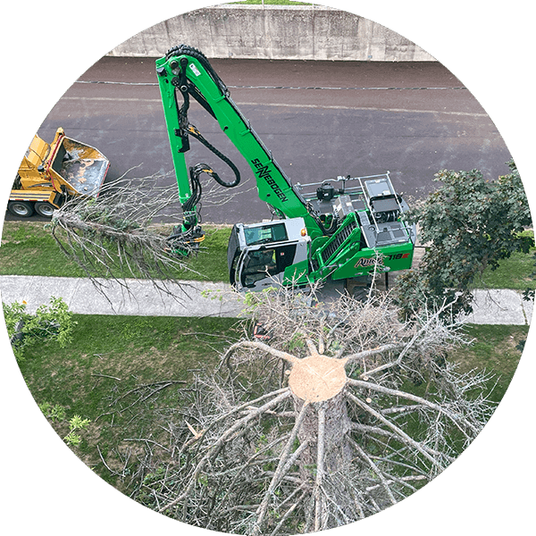 Tree removal with Sennebogen tree handler Abler Tree Company Wisconsin